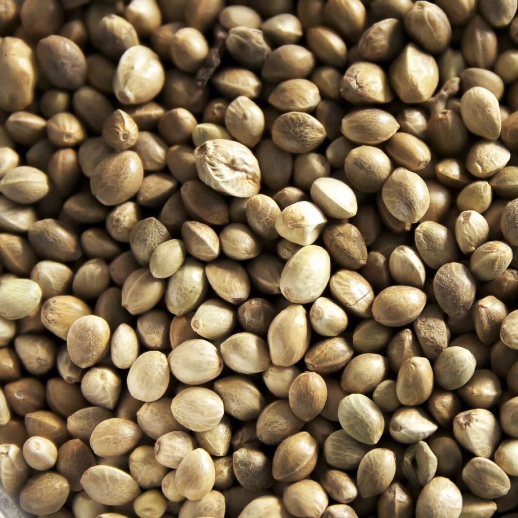 Superfoods for Optimal Health: Incorporating Nutrient-Rich Ingredients