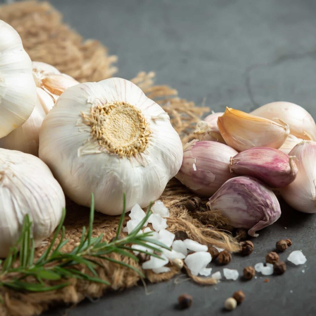 Nutrition for Immune Support: Foods that Strengthen Your Body’s Defenses