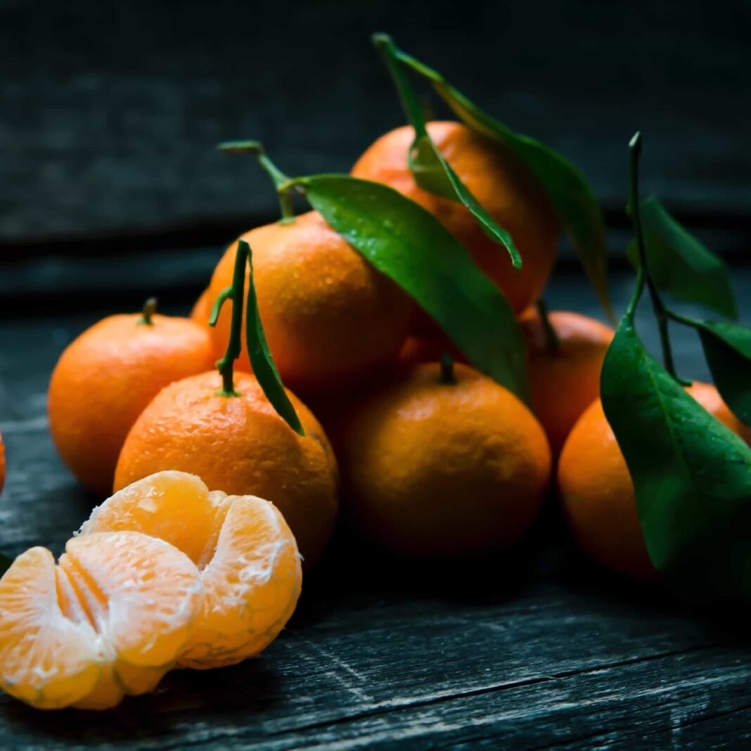 Vitamins and Immunity: How Nutrients Support Your Body’s Defenses